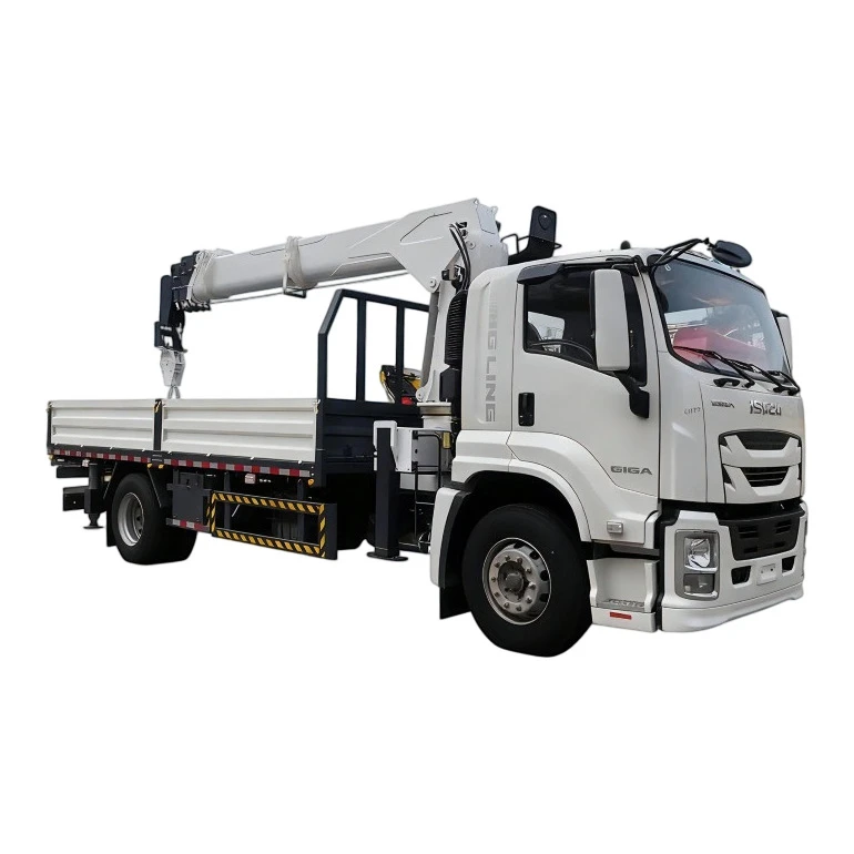 Tsheb Mounted Crane 10 Tuj